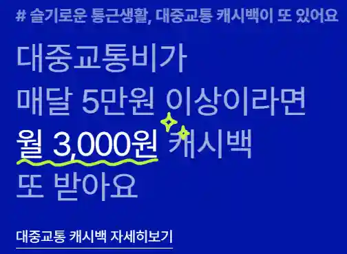 대중교통 혜택